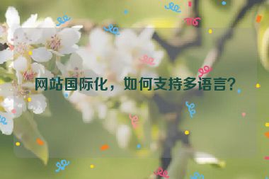 網(wǎng)站國際化，如何支持多語言？