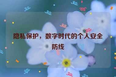 隱私保護(hù)，數(shù)字時(shí)代的個(gè)人安全防線(xiàn)