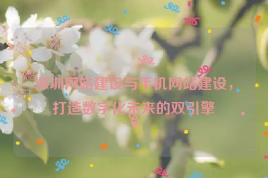 深圳網(wǎng)站建設(shè)與手機(jī)網(wǎng)站建設(shè)，打造數(shù)字化未來(lái)的雙引擎
