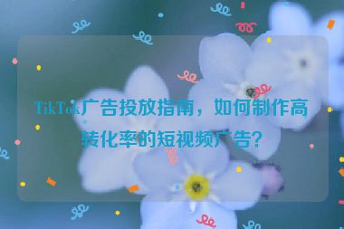 TikTok廣告投放指南，如何制作高轉化率的短視頻廣告？