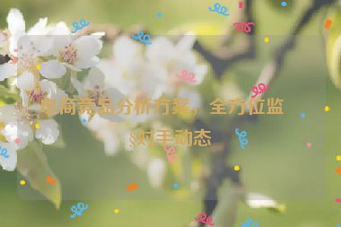 電商競品分析方案，全方位監(jiān)控對手動態(tài)