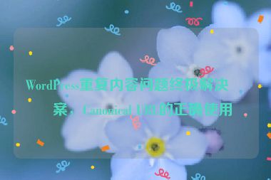 WordPress重復(fù)內(nèi)容問題終極解決方案，Canonical URL的正確使用