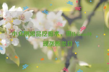 小眾剛需品挖掘術(shù)，用Helium10發(fā)現(xiàn)壟斷類目