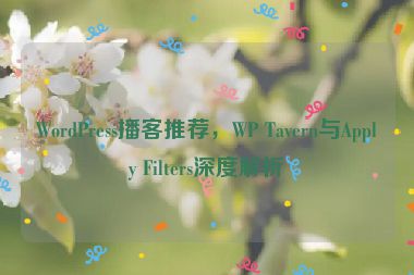 WordPress播客推薦，WP Tavern與Apply Filters深度解析