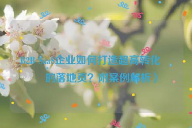 B2B SaaS企業(yè)如何打造超高轉(zhuǎn)化率的落地頁(yè)？附案例解析）