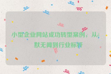 小型企業(yè)網站成功轉型案例，從默默無聞到行業(yè)標桿