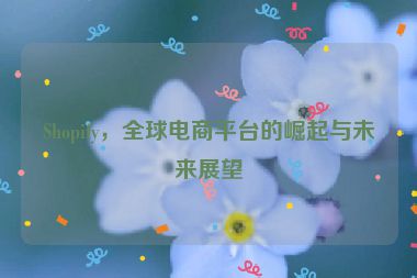 Shopify，全球電商平臺(tái)的崛起與未來展望