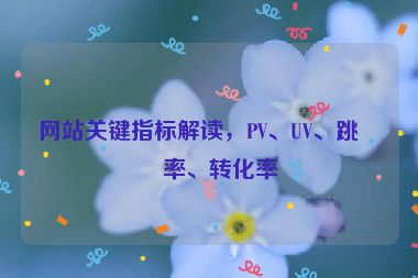 網(wǎng)站關(guān)鍵指標(biāo)解讀，PV、UV、跳出率、轉(zhuǎn)化率