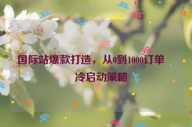 國際站爆款打造，從0到1000訂單的冷啟動策略