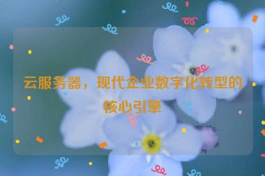 云服務器，現(xiàn)代企業(yè)數(shù)字化轉型的核心引擎