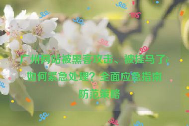 廣州網(wǎng)站被黑客攻擊、被掛馬了該如何緊急處理？全面應急指南與防范策略