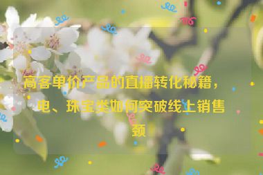 高客單價產(chǎn)品的直播轉(zhuǎn)化秘籍，家電、珠寶類如何突破線上銷售瓶頸