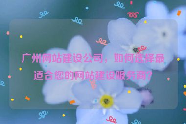 廣州網(wǎng)站建設(shè)公司，如何選擇最適合您的網(wǎng)站建設(shè)服務(wù)商？