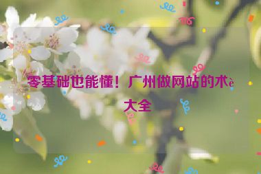 零基礎(chǔ)也能懂！廣州做網(wǎng)站的術(shù)語大全