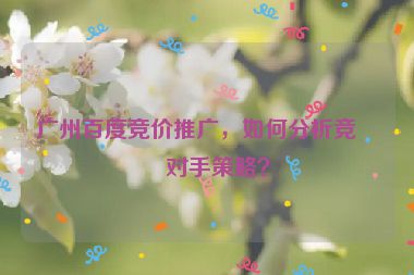 廣州百度競價(jià)推廣，如何分析競爭對手策略？