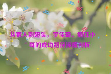 從素人到超頭，李佳琦、瘋狂小楊哥的成功路徑深度剖析