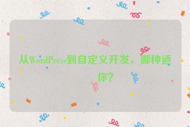從WordPress到自定義開發(fā)，哪種適合你？