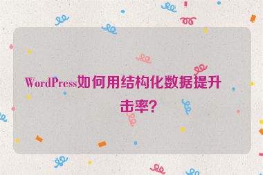 WordPress如何用結(jié)構(gòu)化數(shù)據(jù)提升點擊率？