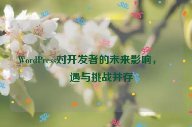 WordPress對開發(fā)者的未來影響，機(jī)遇與挑戰(zhàn)并存