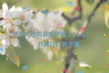 獨立站如何設(shè)置彈窗（Popup）提升郵件訂閱率？