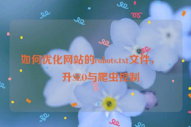 如何優(yōu)化網(wǎng)站的robots.txt文件，提升SEO與爬蟲控制