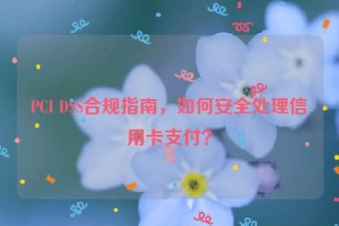 PCI DSS合規(guī)指南，如何安全處理信用卡支付？