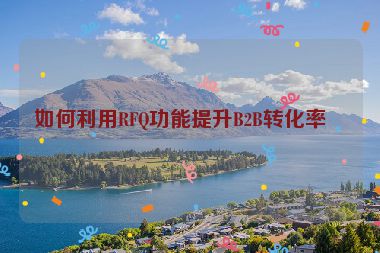 如何利用RFQ功能提升B2B轉(zhuǎn)化率？