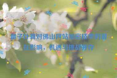 量子計算對佛山網(wǎng)站加密技術(shù)的潛在影響，機(jī)遇與挑戰(zhàn)并存