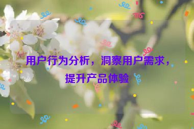 用戶行為分析，洞察用戶需求，提升產(chǎn)品體驗(yàn)