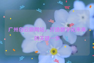 廣州白云做網(wǎng)站，打造數(shù)字化未來的關鍵一步