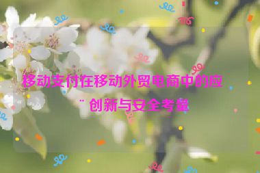 移動支付在移動外貿(mào)電商中的應(yīng)用創(chuàng)新與安全考量