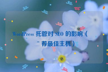 WordPress 托管對(duì) SEO 的影響（推薦最佳主機(jī)）