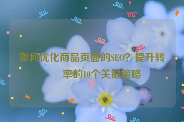 如何優(yōu)化商品頁面的SEO？提升轉(zhuǎn)化率的10個(gè)關(guān)鍵策略