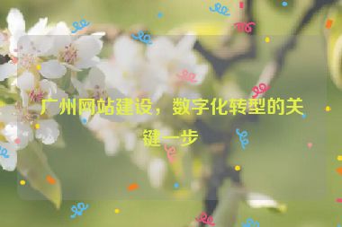 廣州網(wǎng)站建設(shè)，數(shù)字化轉(zhuǎn)型的關(guān)鍵一步