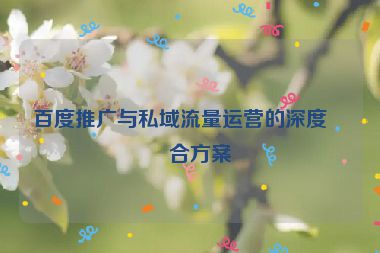 百度推廣與私域流量運營的深度結(jié)合方案