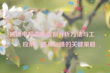 跨境電商銷售數(shù)據(jù)分析方法與工具應(yīng)用，提升業(yè)績的關(guān)鍵策略