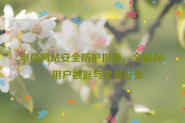 電商網(wǎng)站安全防護(hù)措施，全面保障用戶數(shù)據(jù)與交易安全