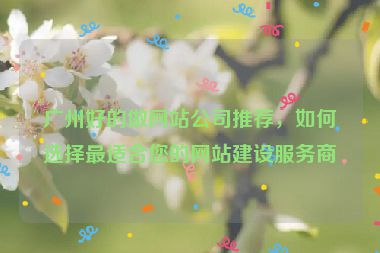 廣州好的做網(wǎng)站公司推薦，如何選擇最適合您的網(wǎng)站建設(shè)服務(wù)商