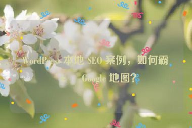 WordPress 本地 SEO 案例，如何霸屏 Google 地圖？