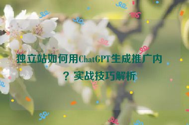 獨(dú)立站如何用ChatGPT生成推廣內(nèi)容？實(shí)戰(zhàn)技巧解析
