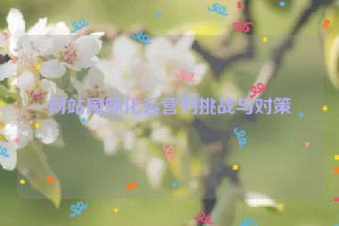 網(wǎng)站國際化運(yùn)營的挑戰(zhàn)與對(duì)策