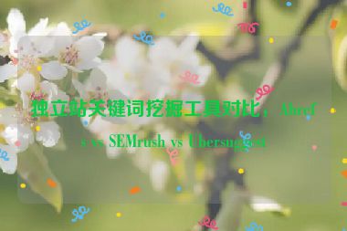 獨(dú)立站關(guān)鍵詞挖掘工具對(duì)比，Ahrefs vs SEMrush vs Ubersuggest