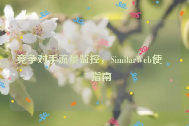 競(jìng)爭(zhēng)對(duì)手流量監(jiān)控，SimilarWeb使用指南
