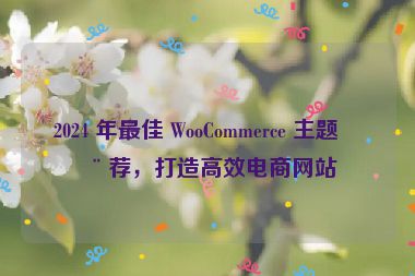 2024 年最佳 WooCommerce 主題推薦，打造高效電商網(wǎng)站