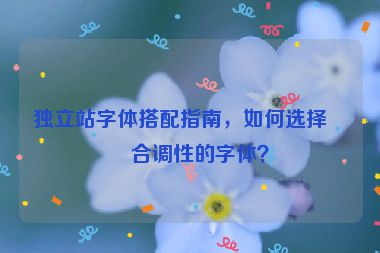 獨(dú)立站字體搭配指南，如何選擇符合調(diào)性的字體？