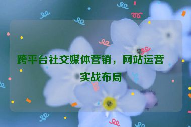 跨平臺社交媒體營銷，網(wǎng)站運營的實戰(zhàn)布局