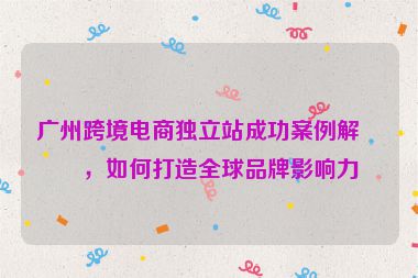廣州跨境電商獨(dú)立站成功案例解析，如何打造全球品牌影響力