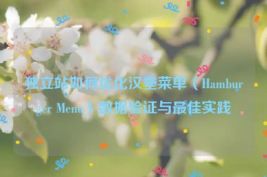 獨(dú)立站如何優(yōu)化漢堡菜單（Hamburger Menu）數(shù)據(jù)驗(yàn)證與最佳實(shí)踐
