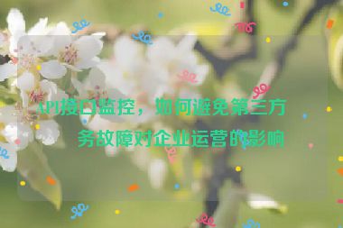 API接口監(jiān)控，如何避免第三方服務(wù)故障對企業(yè)運營的影響