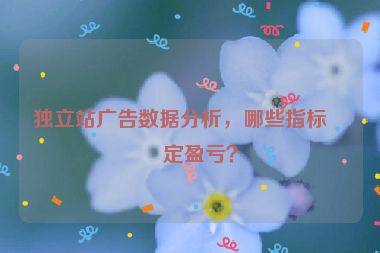獨立站廣告數(shù)據(jù)分析，哪些指標決定盈虧？